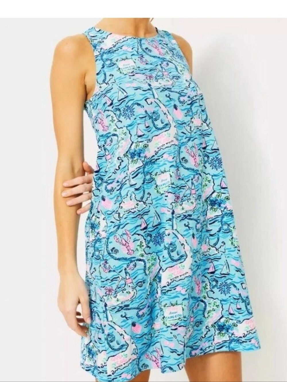 Lilly Pulitzer Kristen Swing Dress Bali Blue Lilly Loves Cape Cod L Nwot